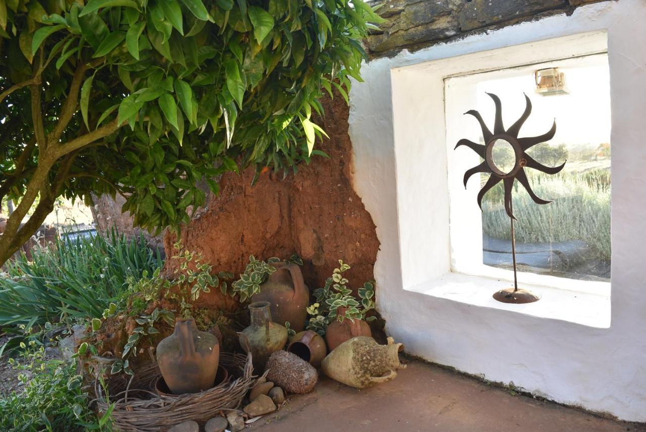 Herdade Reguenguinho Séjour à la ferme Cercal do Alentejo